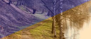 Weißabgleich - Vergleich und Definition